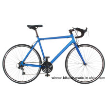 Alloy Frame Road Bicycle 700c Wheels with 14 Speeds